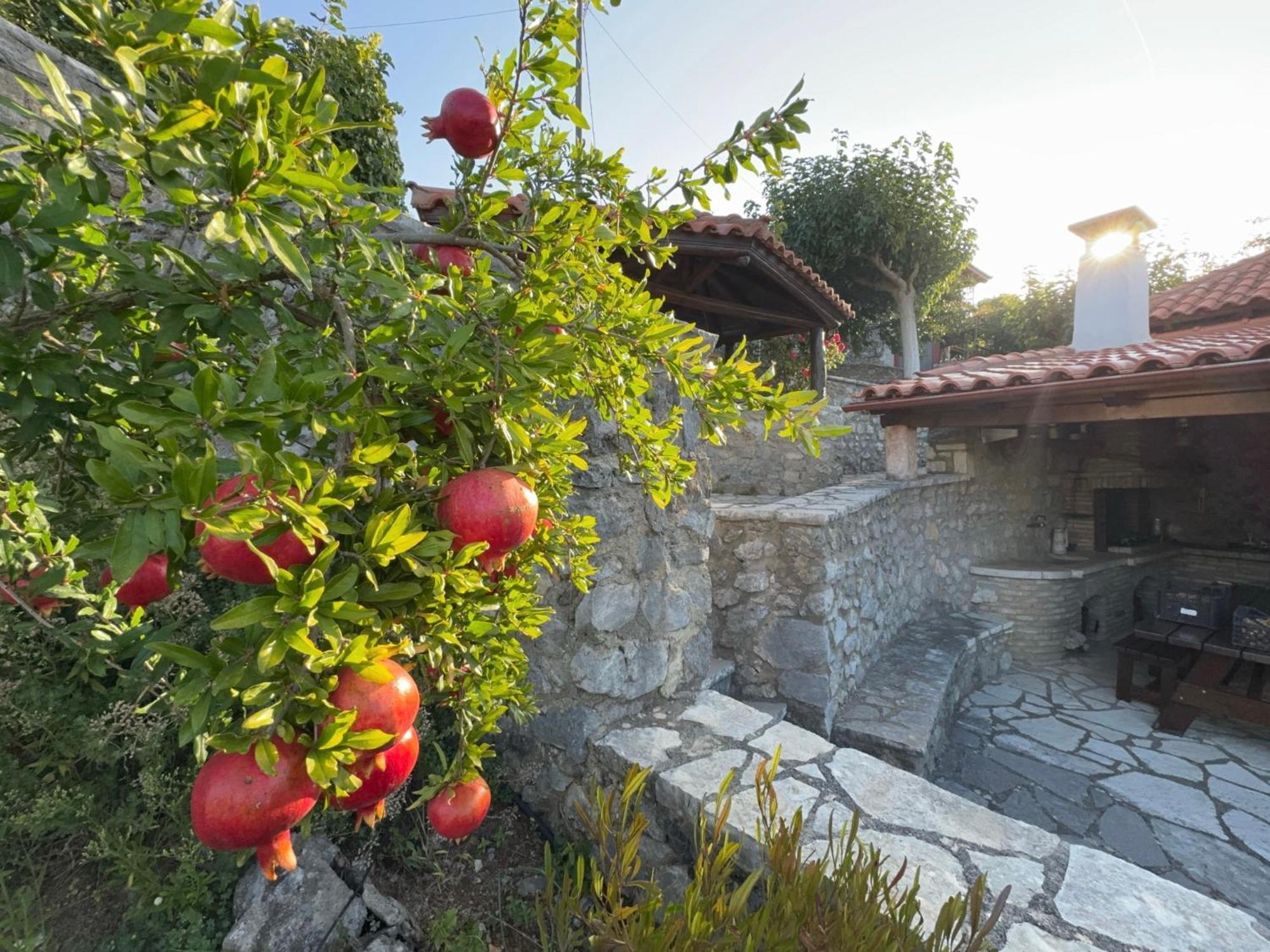 Terra Petra Villa At Psari Trikolonon Gortynia Psárion 외부 사진